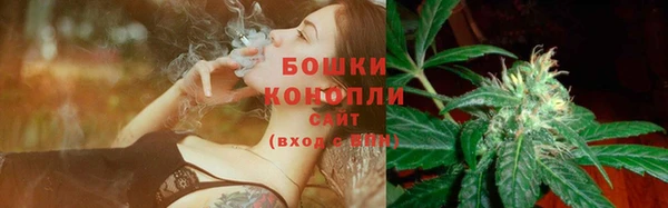шишки Алексеевка