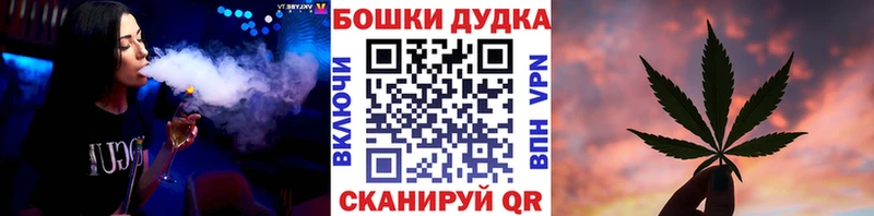 Бошки Шишки Amnesia  Лаишево 
